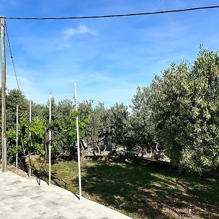 Olivetree شقة *
