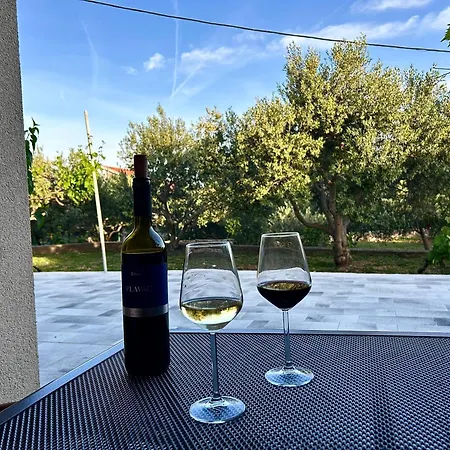 Olivetree