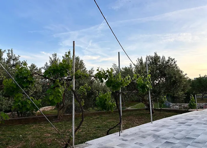 Apartamento Olivetree *
