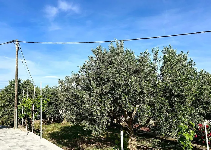 Apartamento Olivetree Kaštel Novi