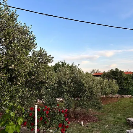 Olivetree * Kaštel Novi