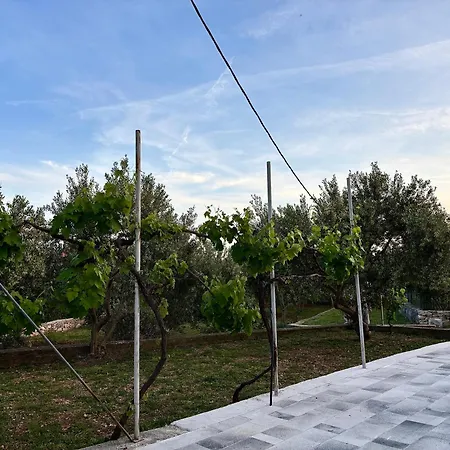 Appartement Olivetree *