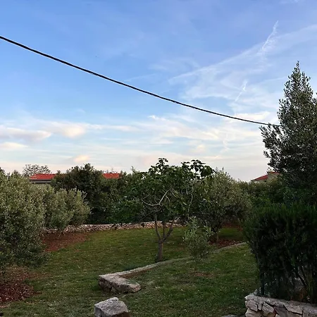 Olivetree Appartement *