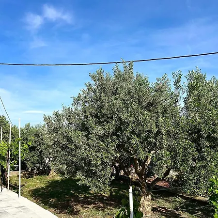 公寓 Olivetree Kaštel Novi