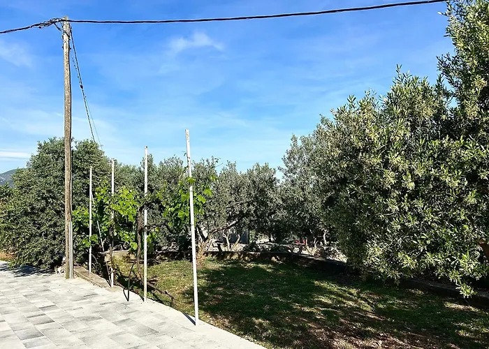 Olivetree Appartement *